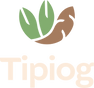 Tipiog GmbH